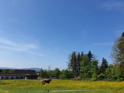 weide07.jpeg